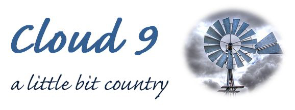 Cloud 9 - A Little Bit
          Country